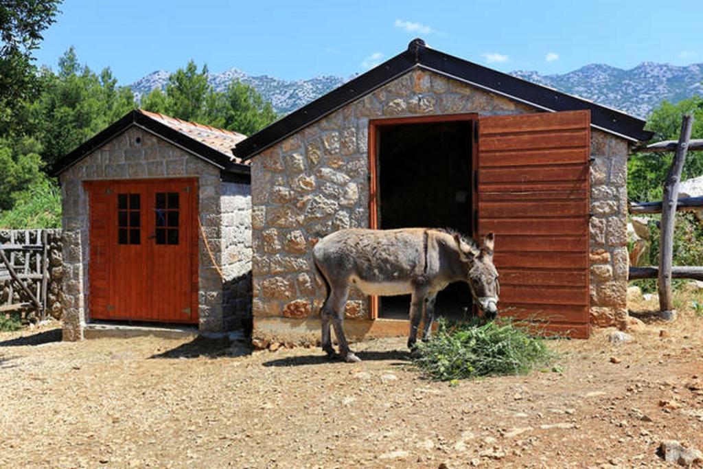 Apartmán Stone House Magarac Seline Exteriér fotografie